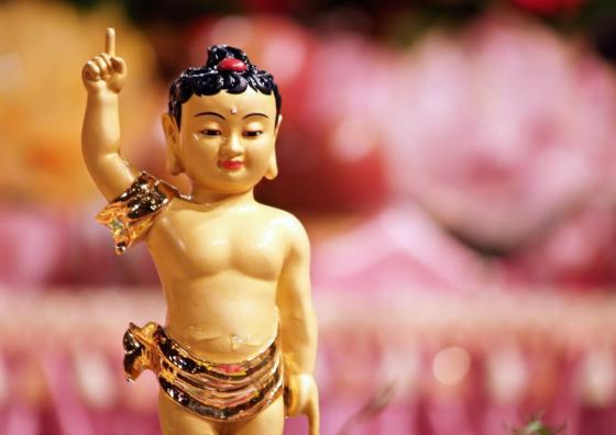 Đức Phật đản sanh tay nào chỉ lên là đúng?