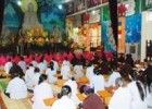 Các chùa trên địa bàn tỉnh tổ chức các hoạt động nhân ngày Khánh đản Đức Phật A Di Đà