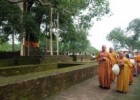 Pháp thoại và niệm Phật nhiễu quanh cây Bồ Đề Anada