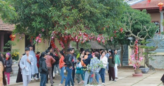 Thanh Hóa: Ngày xuân về chùa Vĩnh Thái 31